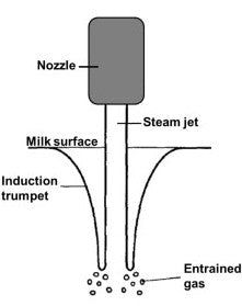 The Science Behind Perfect Steamed Milk – Clive Coffee