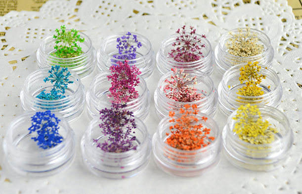 DIY Dried Flower Set - 12 Colors