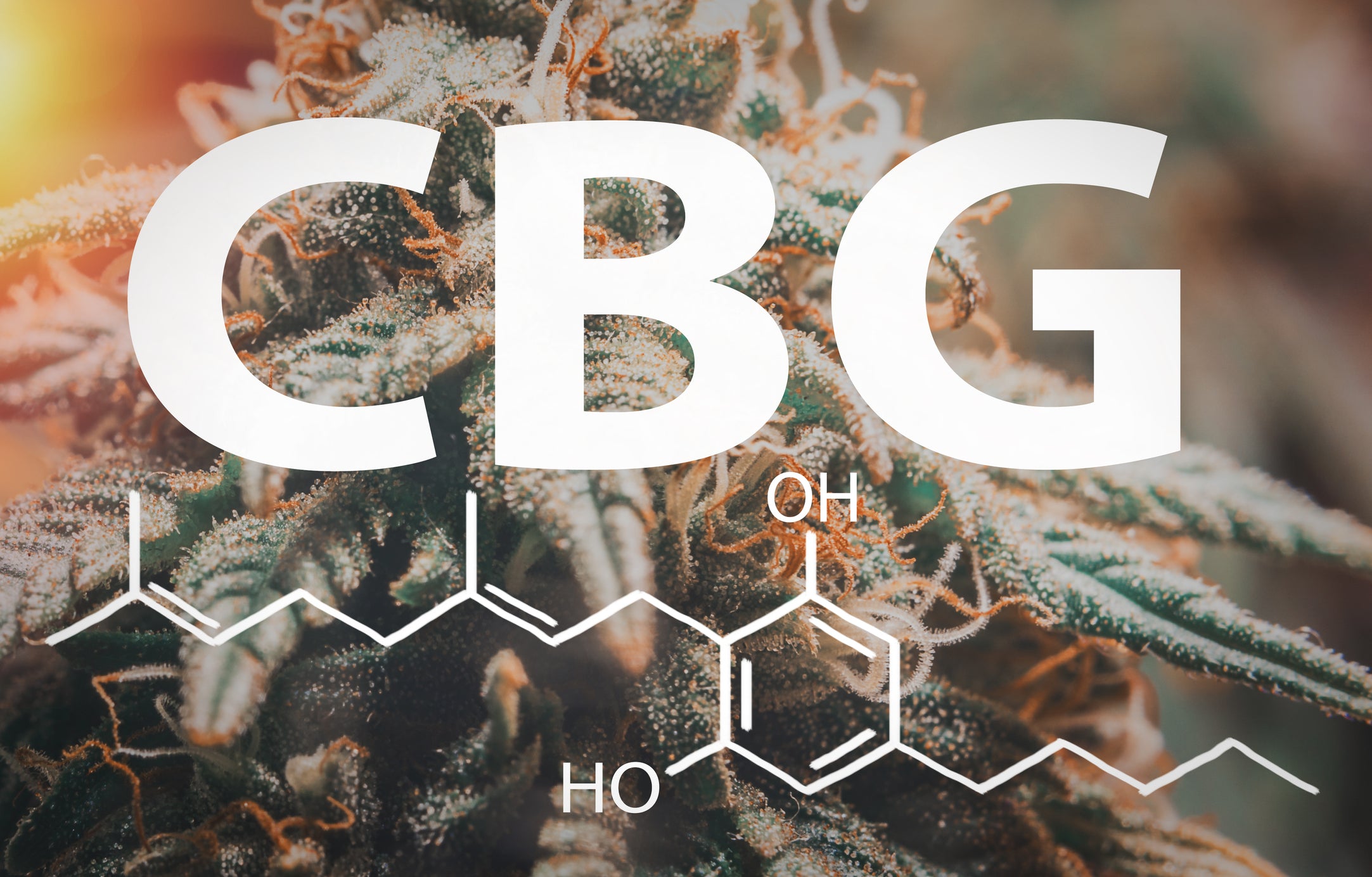 The chemical structure for CBG in cannabis flower is written over a brightly lit nug.