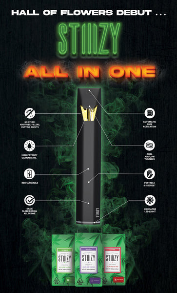 STIIIZY ALL-IN-ONE 1G THC PEN