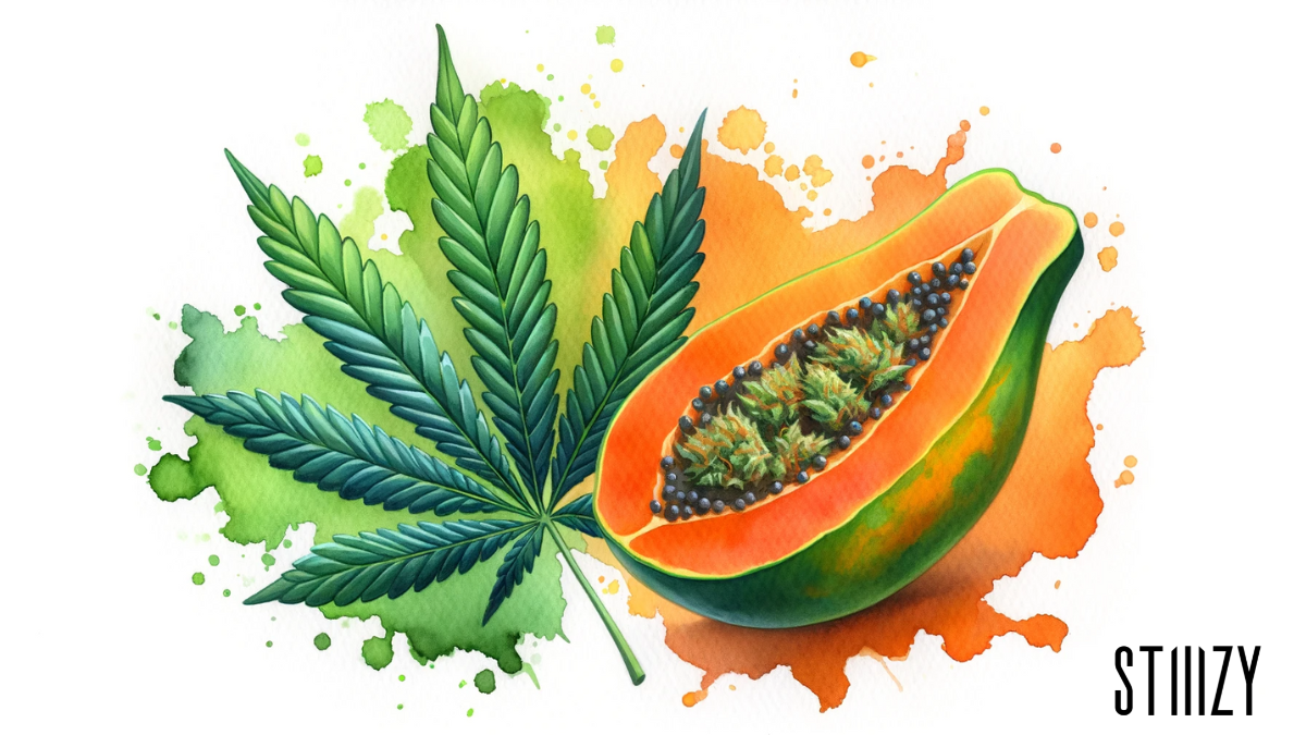 papaya and cannabis