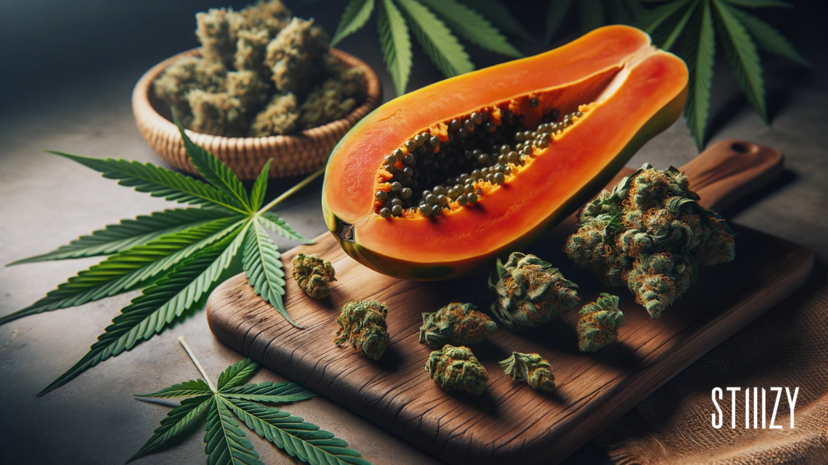 papaya punch cannabis strain guide feat.