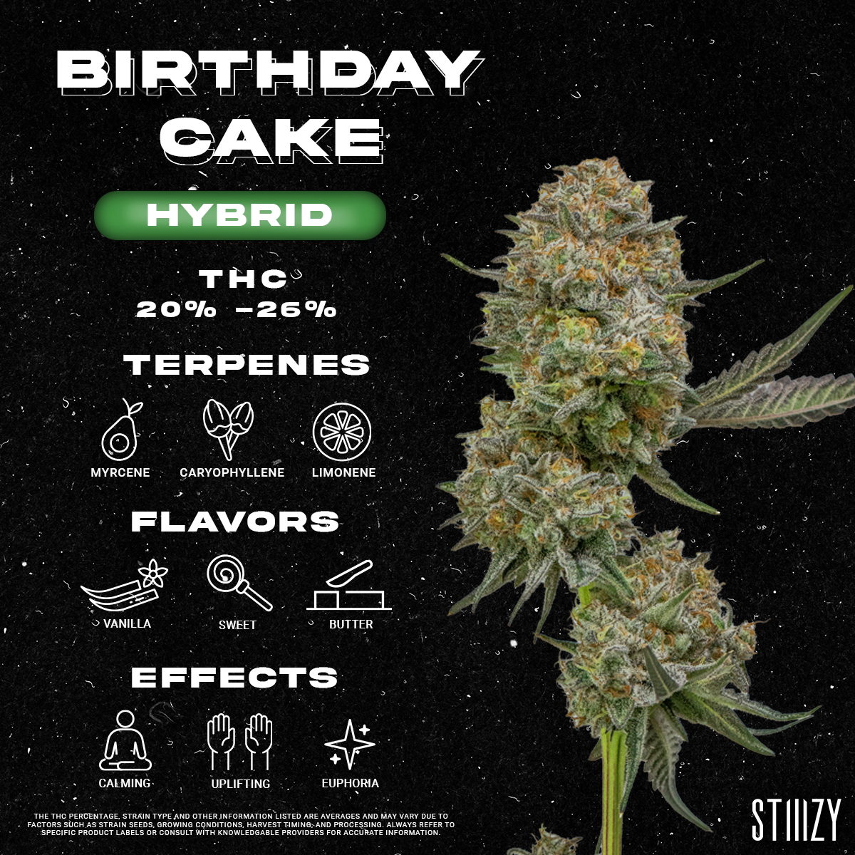 Birthday Cake Strain - Infographic