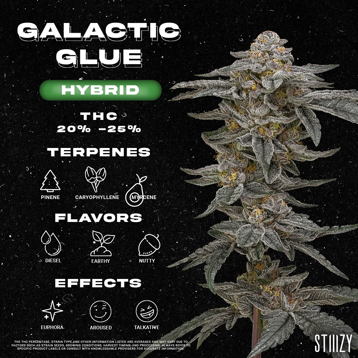Galactic Glue Strain - Infographic