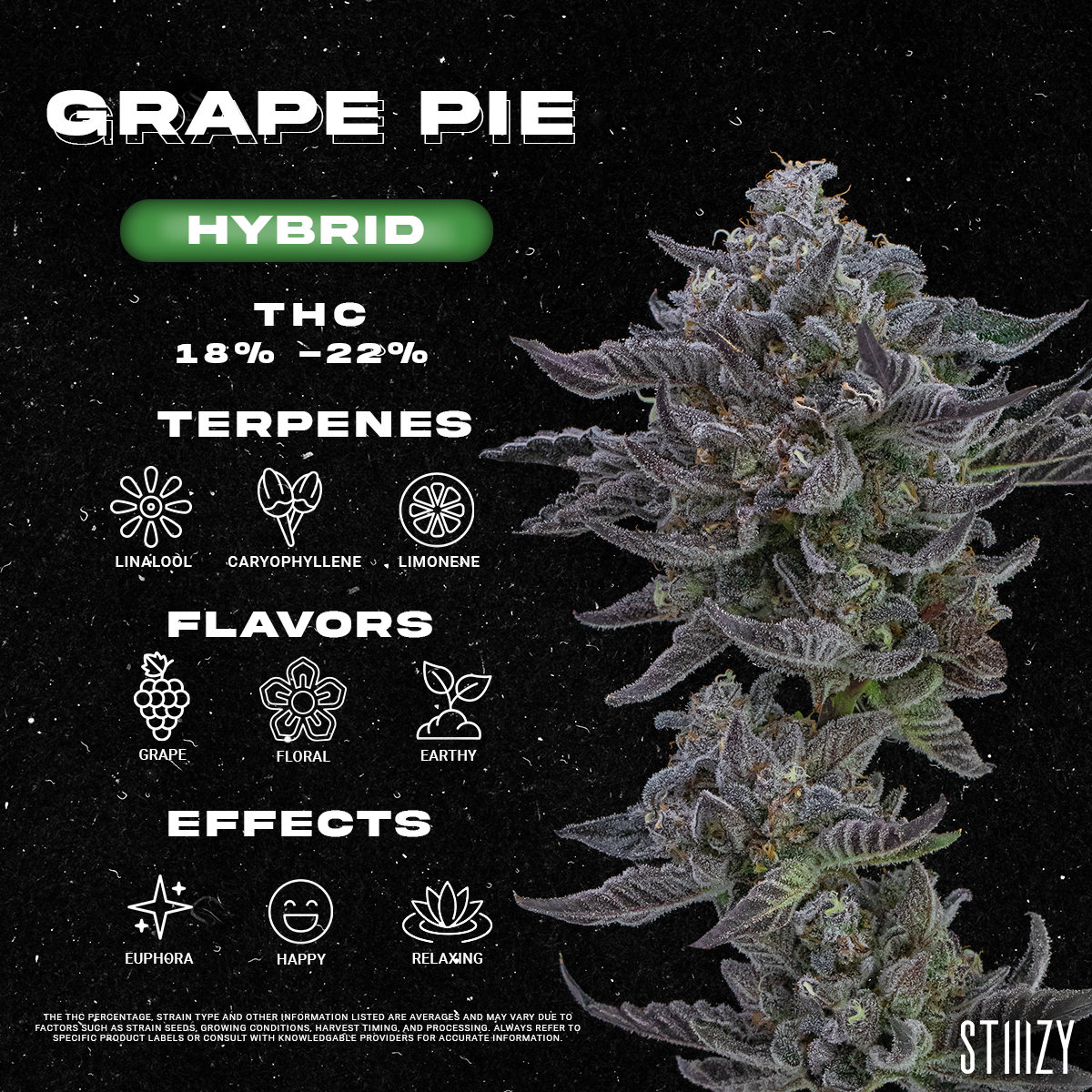 Grape Pie Strain - Infographic