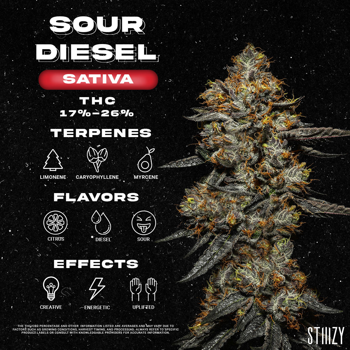 Sour Diesel Strain - Infographic