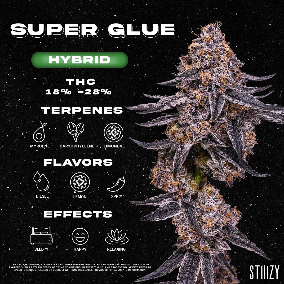 Super Glue Strain - Infographic