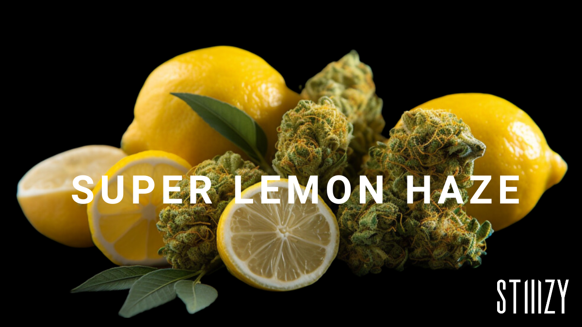 super lemon haze strain guide