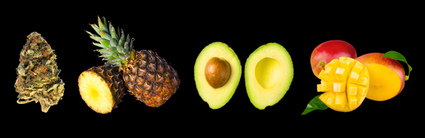 close up photos of pineapple express nug, pineapple, mango, avocado for a guacamole recipe