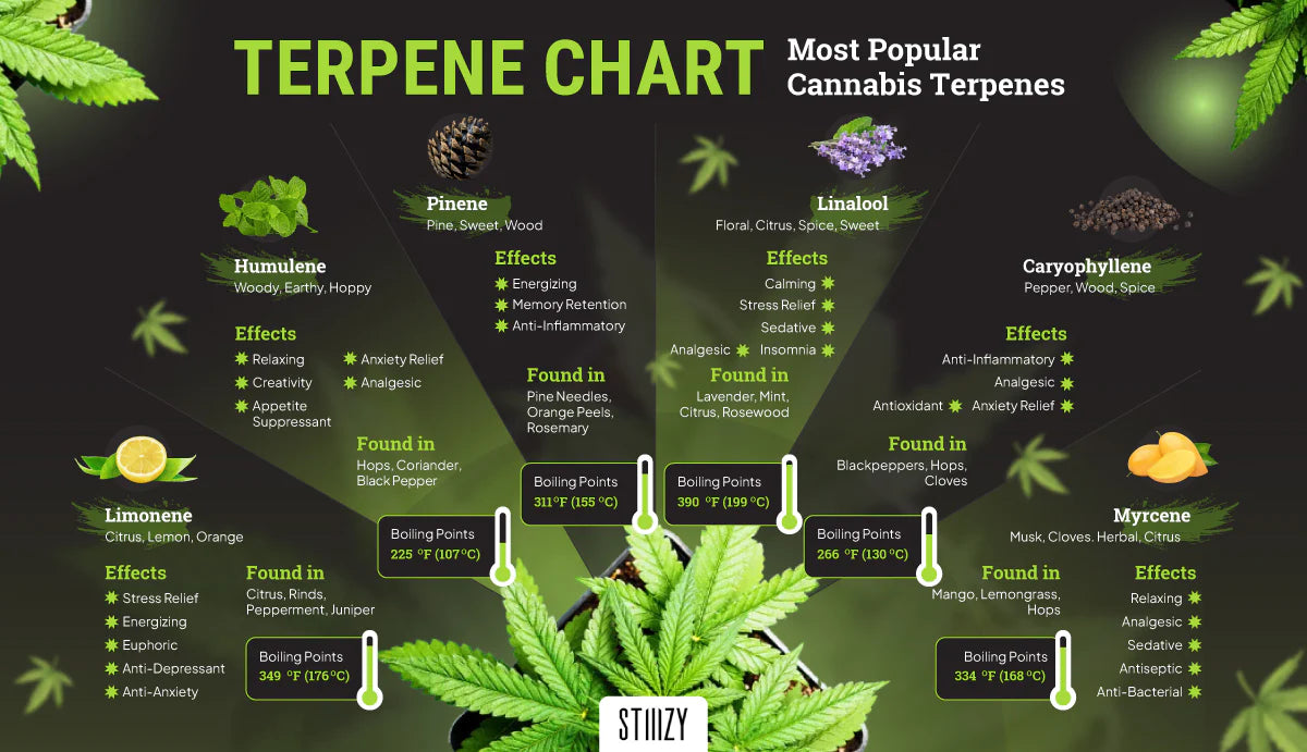 cannabis terpene