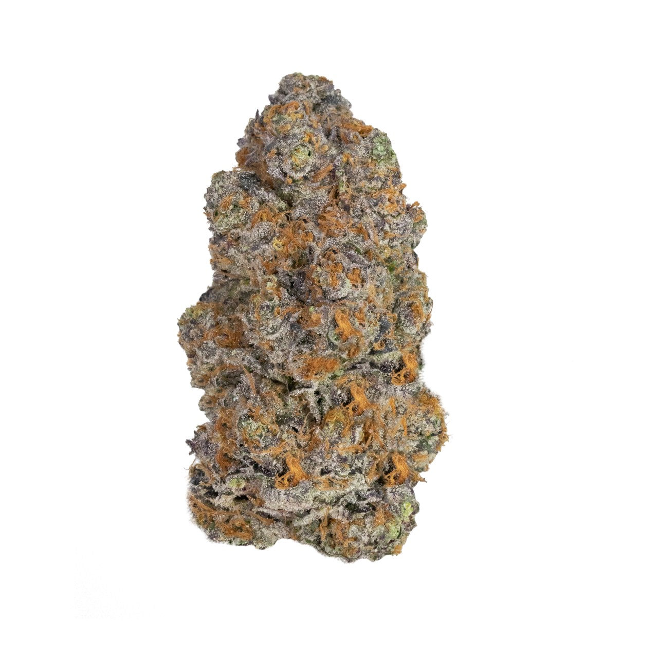 A nug of cannabis flower from the Biscotti weed strain sits against a white background.