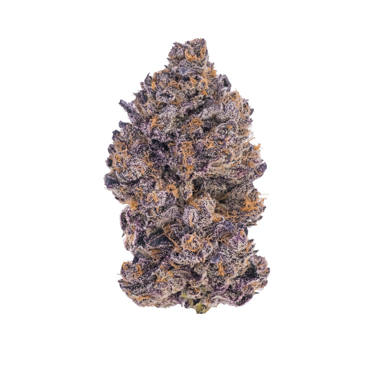 A nug of cannabis flower from the Black Truffle strain sits against a white background.