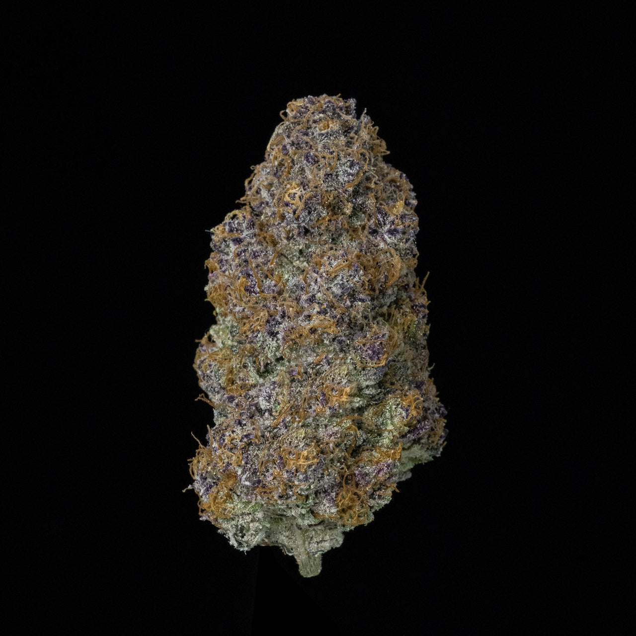 A nug of cannabis flower from the Blue Cookies weed strain stands against a black background.