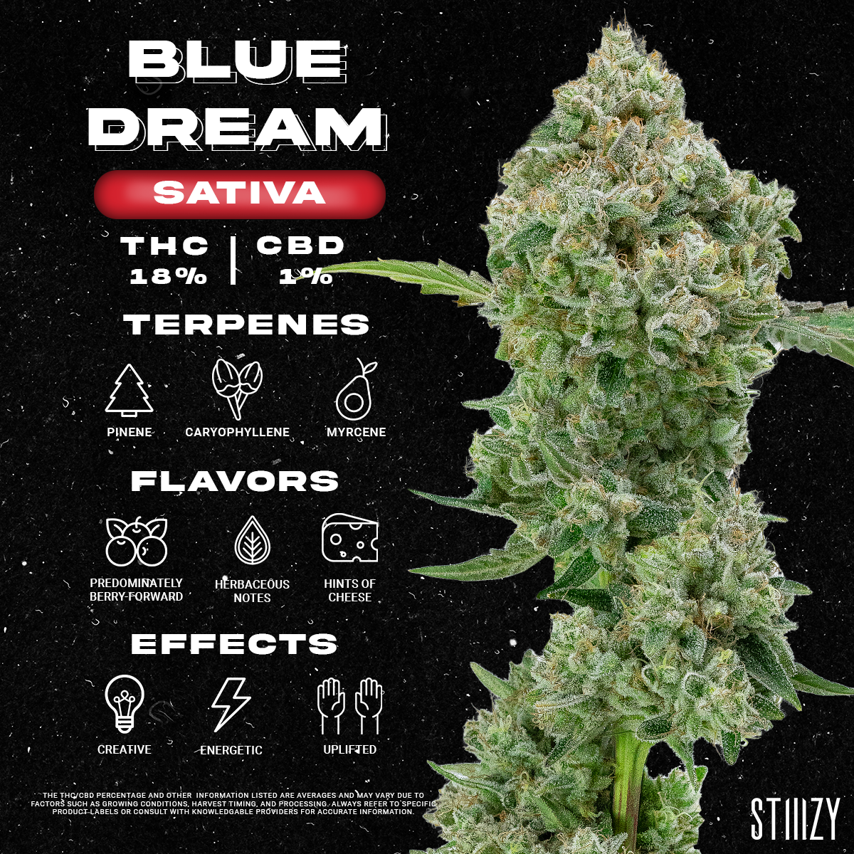 Blue Dream Strain Information