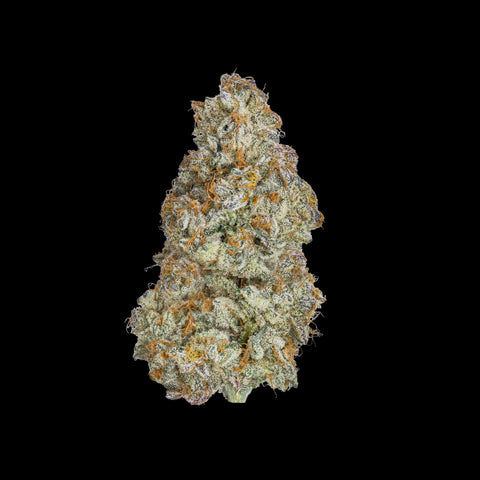 A cannabis flower nug from a blue raz strain of weed sits against a black background.