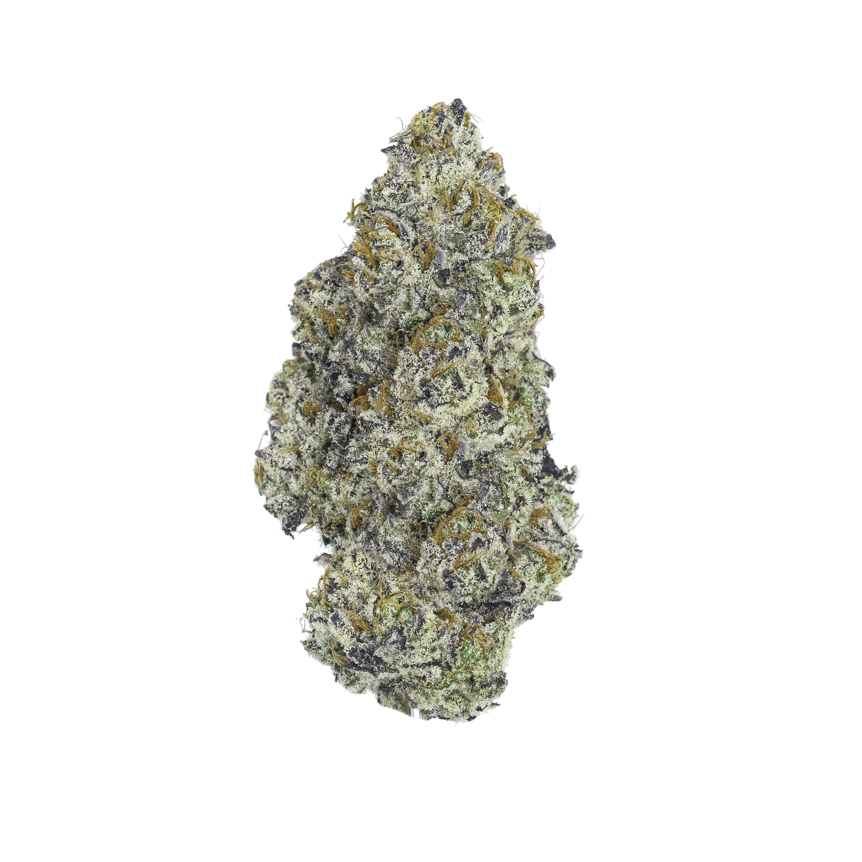A cannabis flower nug from the blue razz slushie strain stands against a black background.