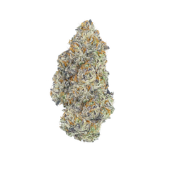 A cannabis flower nug from the blue razz slushie strain stands against a black background.