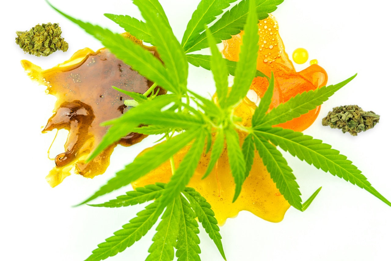 Cannabis concentrates rich in terpenes, with a brown or amber color, lie next to cannabis flower nugs and leaves.