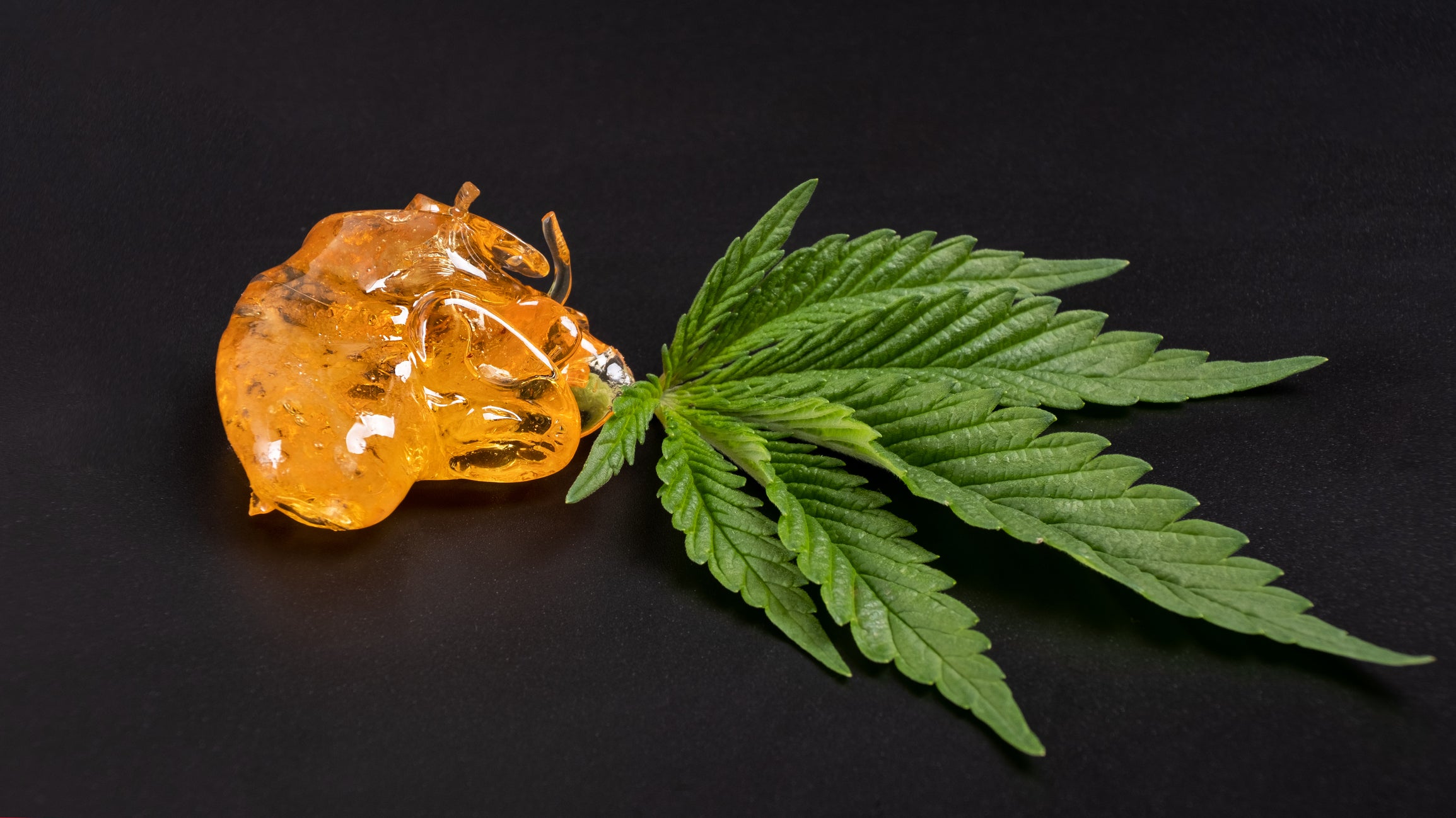 An amber-hued glob of cannabis extract sits side by side with a cannabis flower leaf on a black surface.