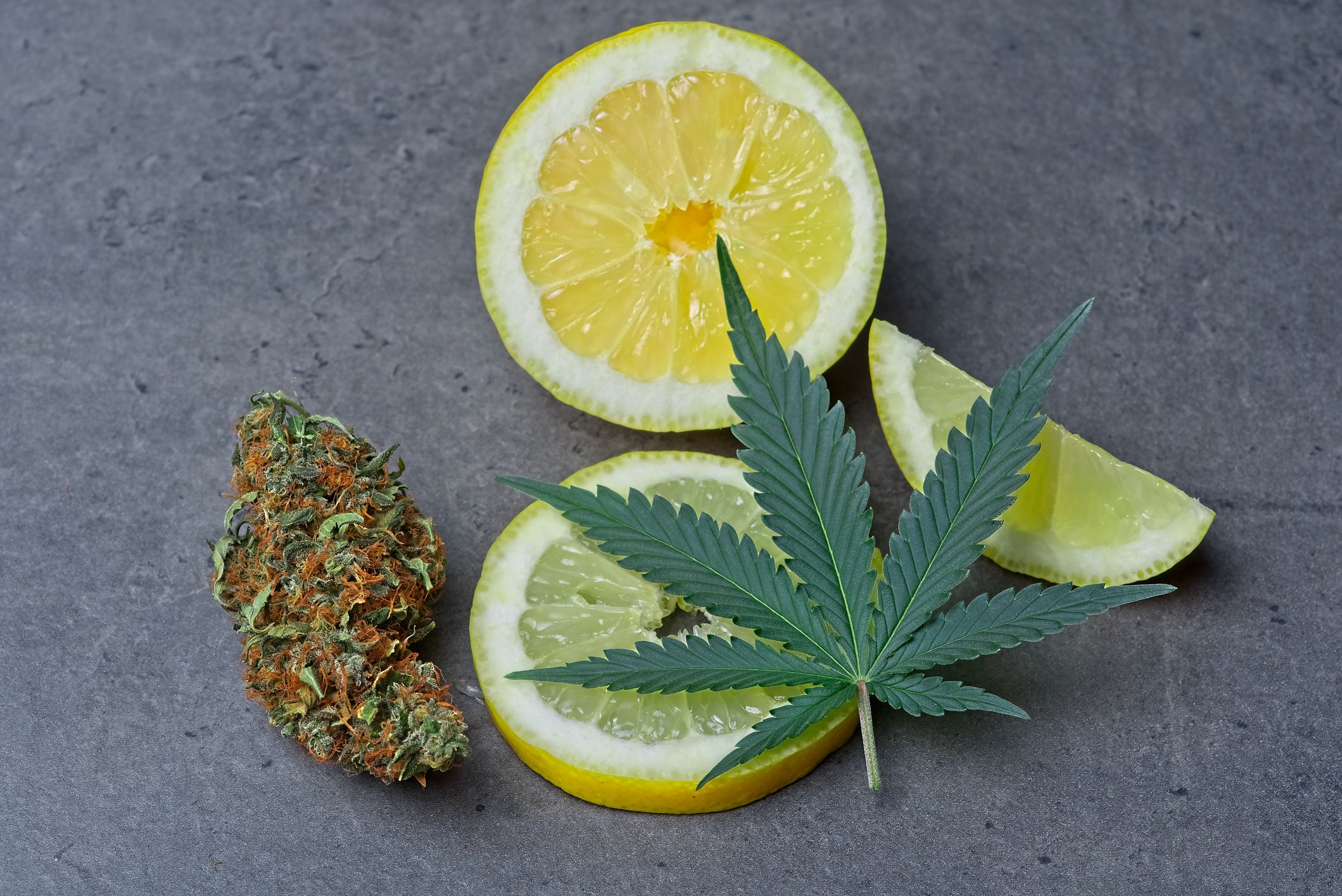 Cannabis flower leaf and nug lie next to sliced lemons with the same terpene called limonene.
