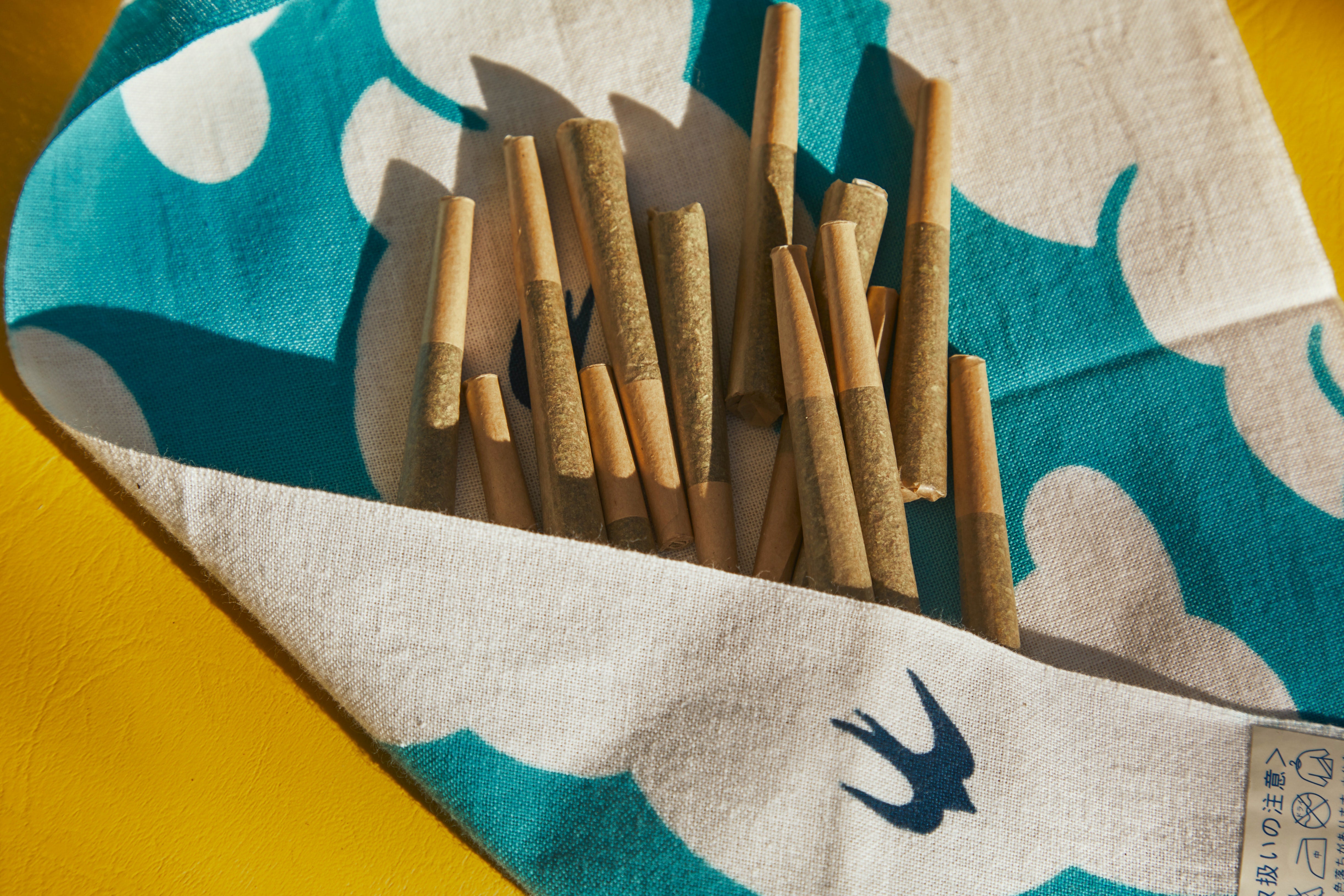 A bunch of cannabis pre-rolls are partly wrapped up in a blue and white paper.