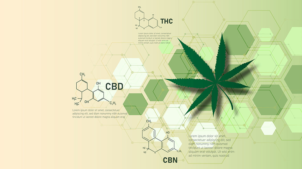 cannabis terms and glossary