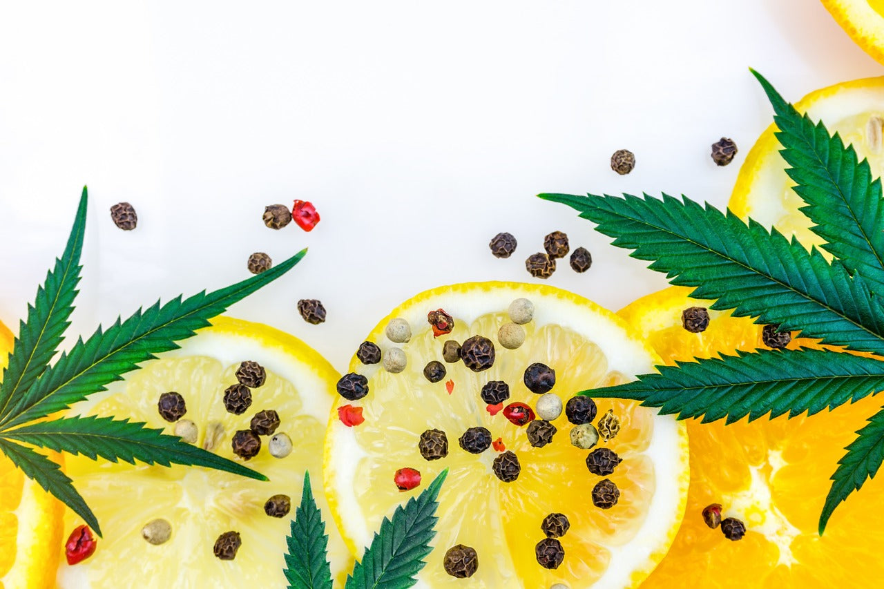 Lemon slices, cannabis flower leaves, and peppercorns are bunched together on a white surface.