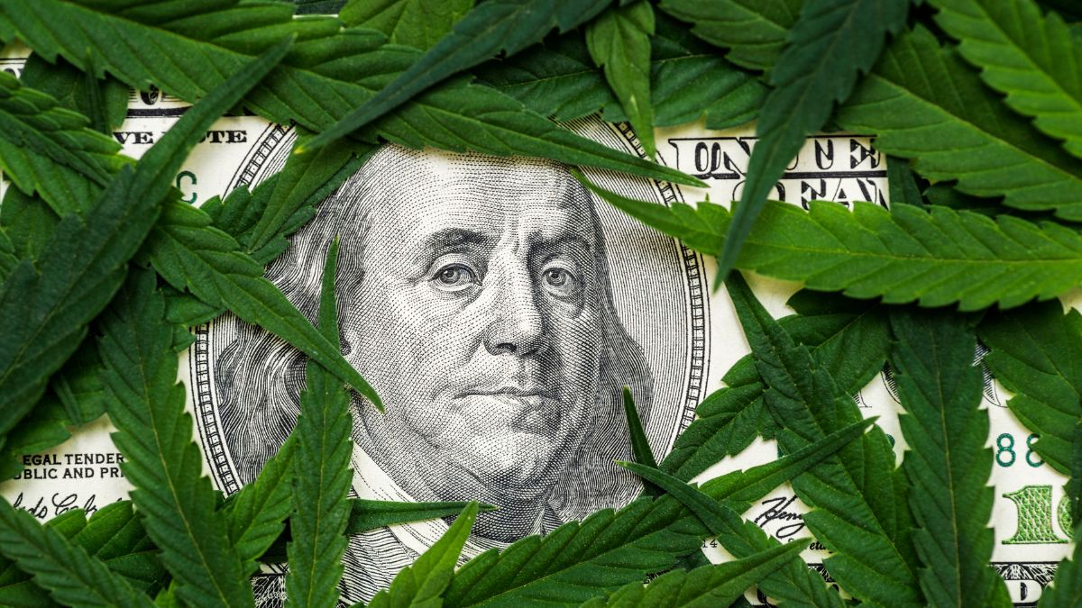 cannabis impact on economy