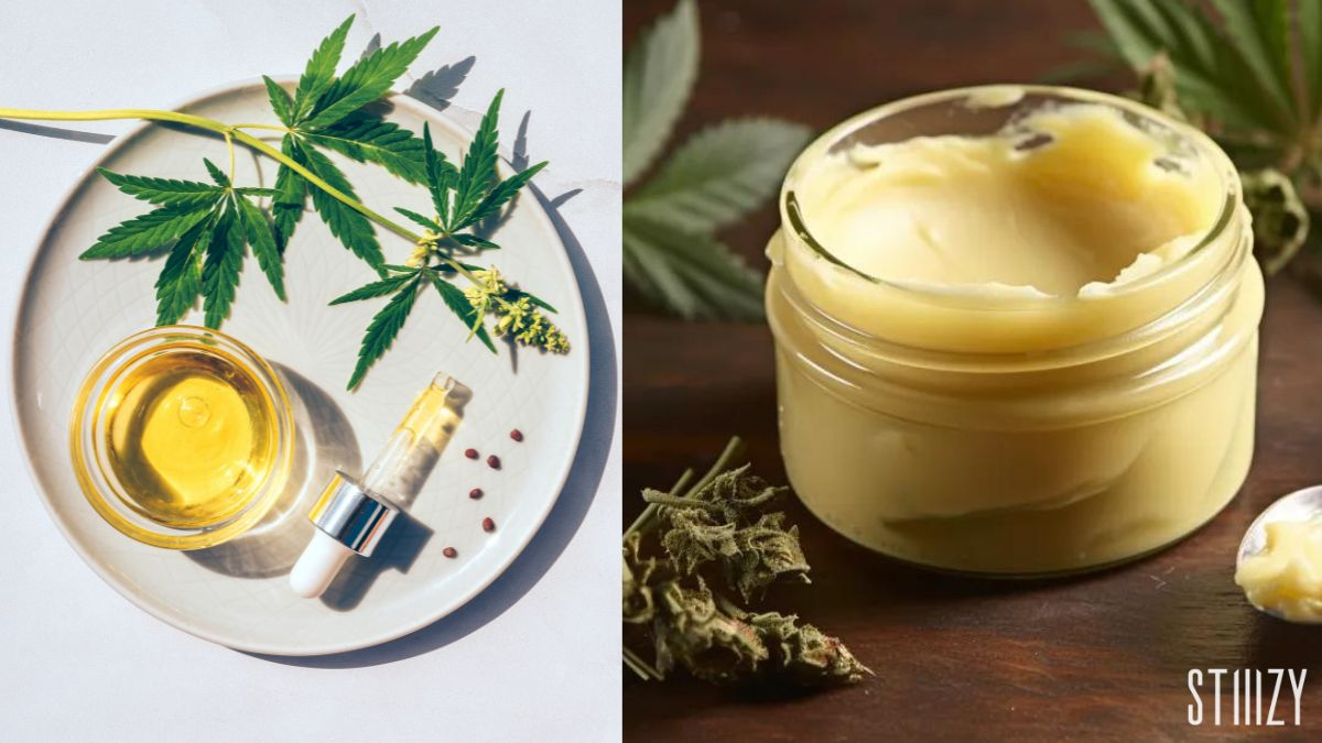 cannabis infused oil and butter, cannabutter