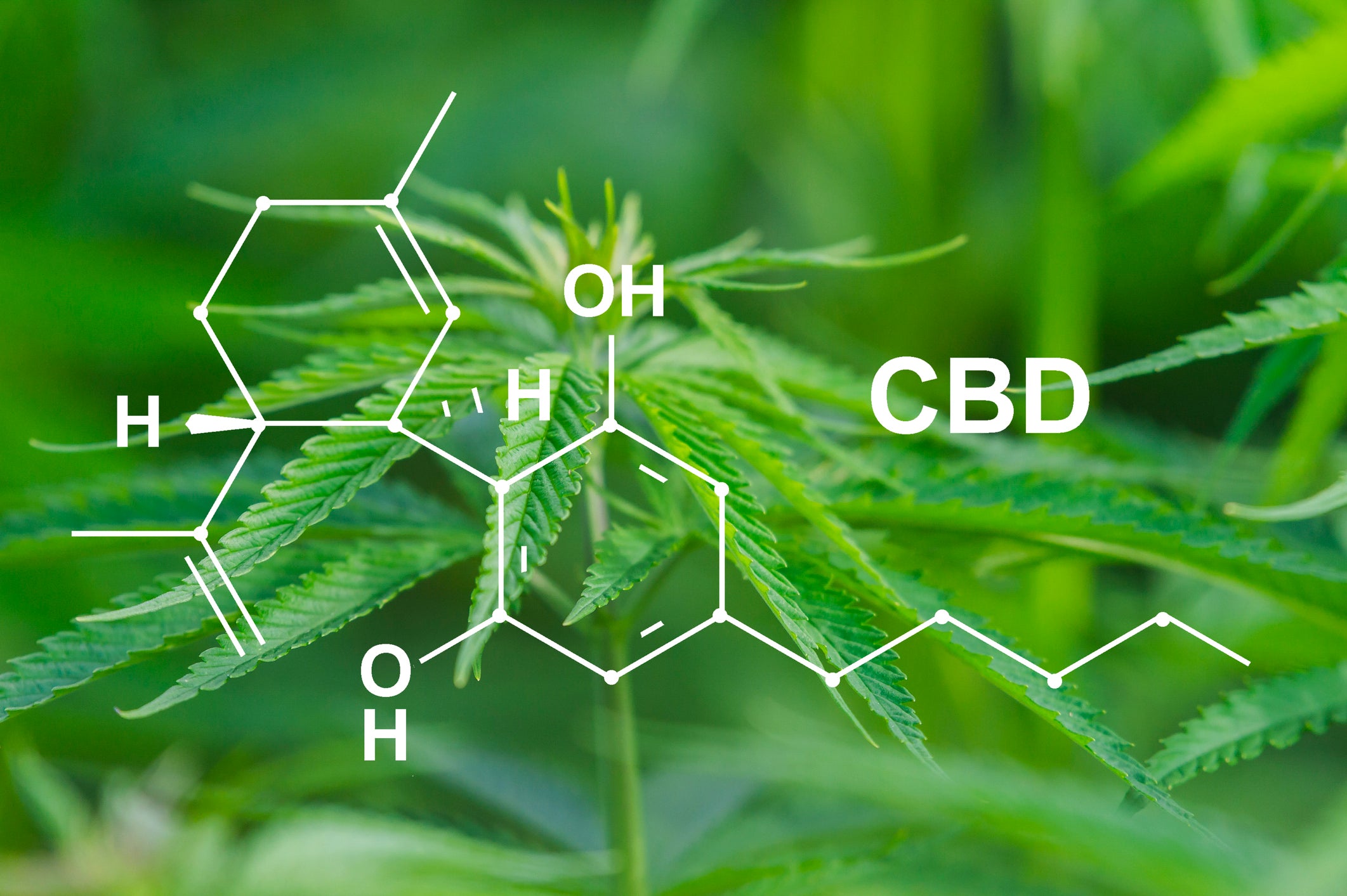 Cannabidiol (CBD) is a cannabinoid that's widely available on the market.