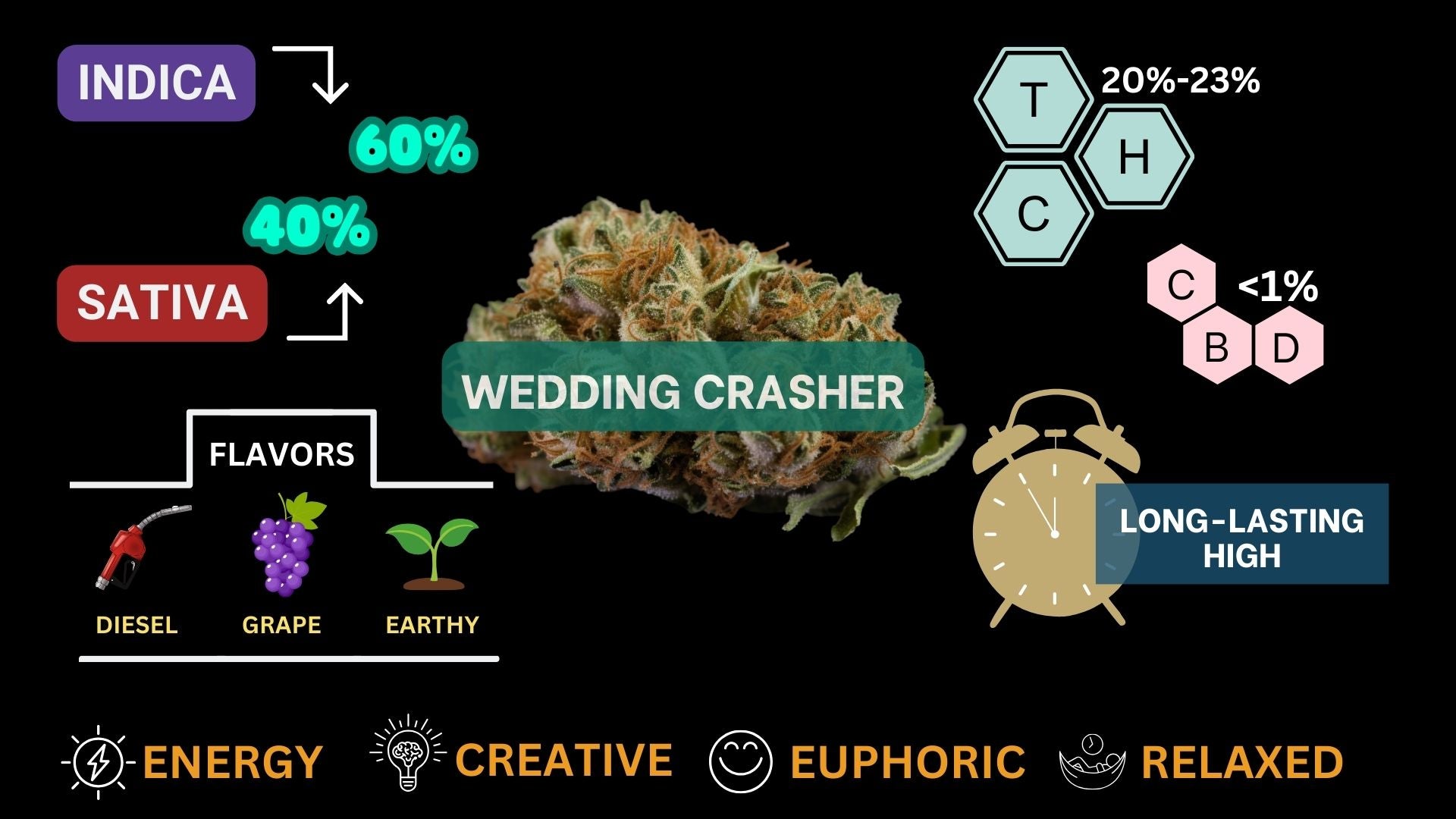 wedding crasher strain visual infographic for cannabis strain guide