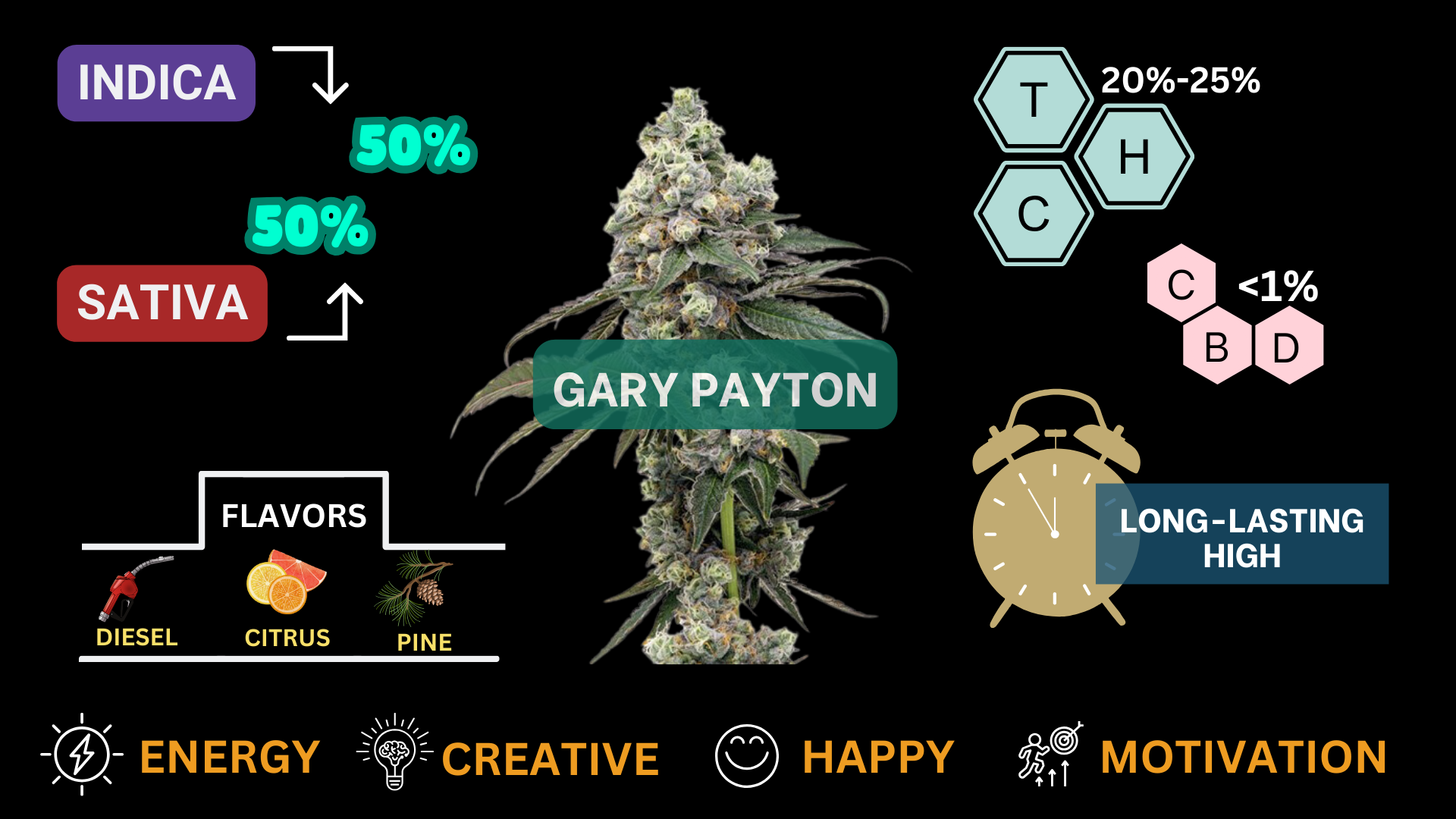 gary payton strain visual infographic