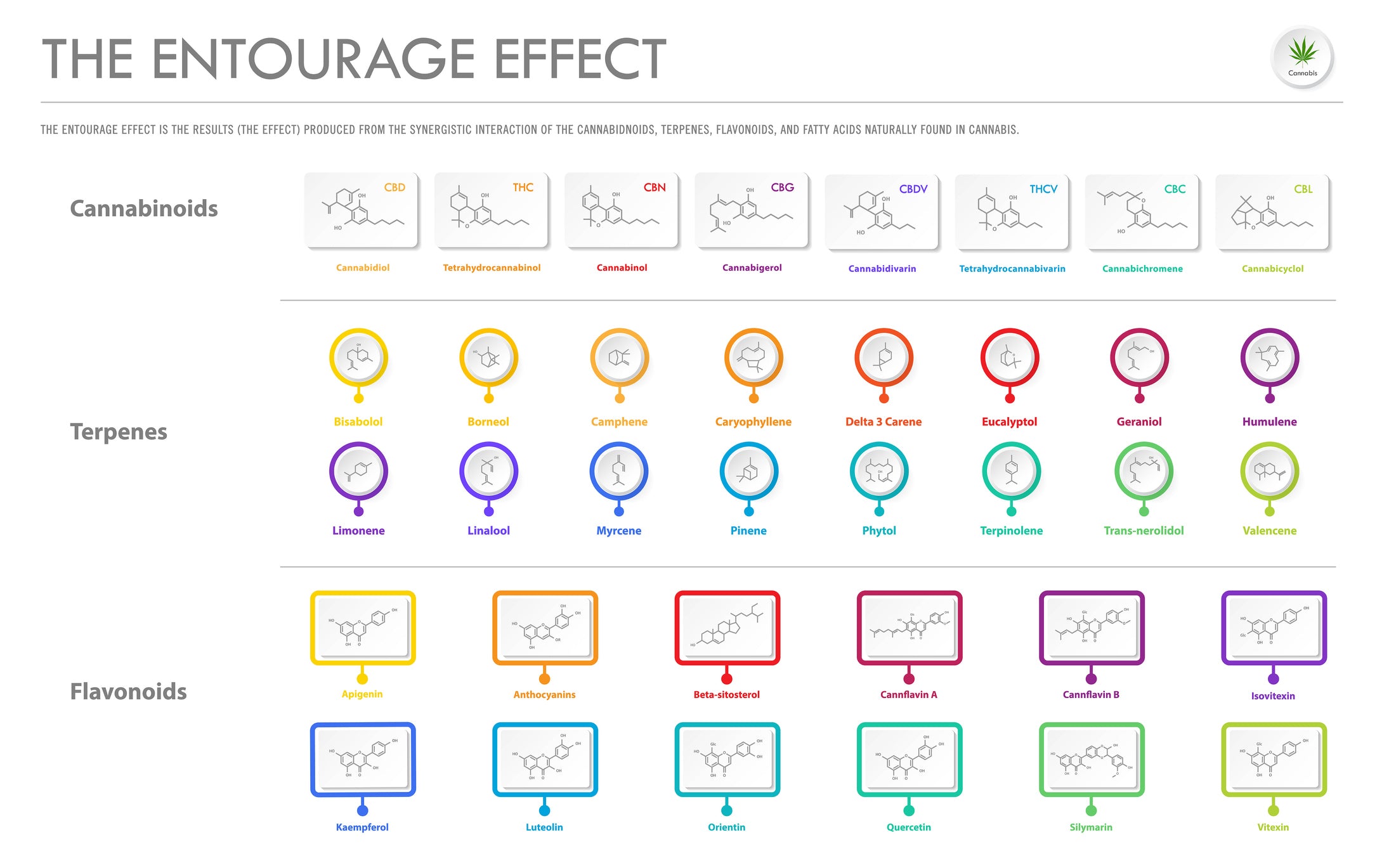 A chart of the entourage effect shows the chemical compounds of cannabinoids, flavonoids, and cannabis terpenes.