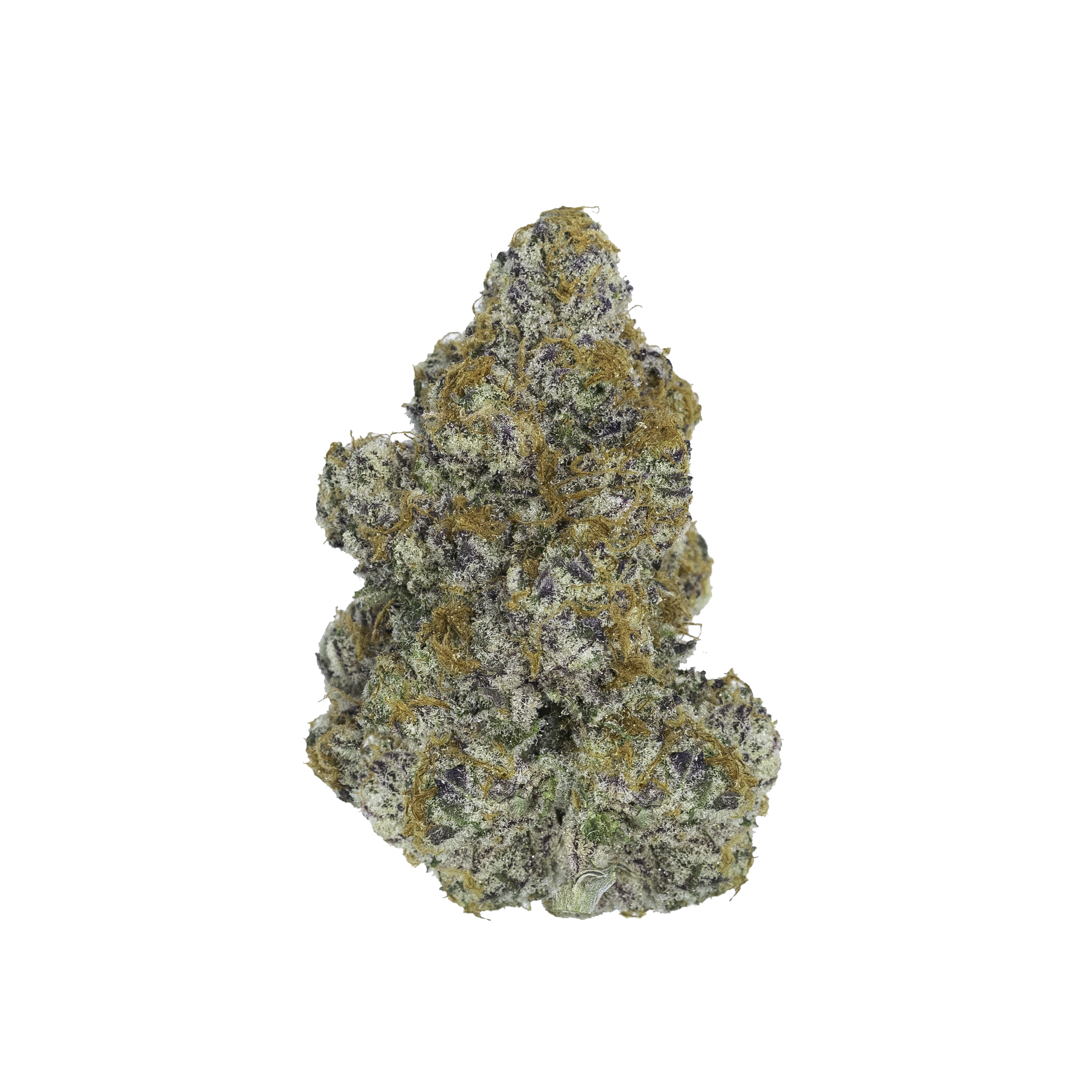 A cannabis flower nug from the Gelato strain sits up straight against a black background.
