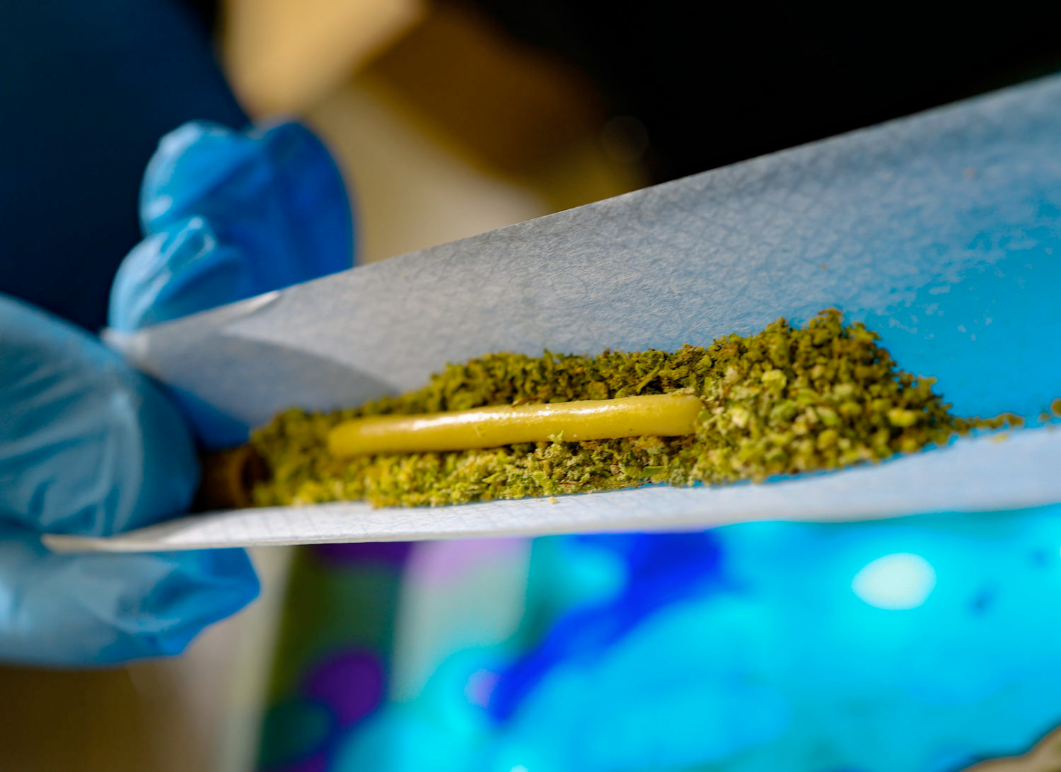 A joint with the thin sliver of live rosin extract is ready to be rolled up with cannabis flower into a hash hole.