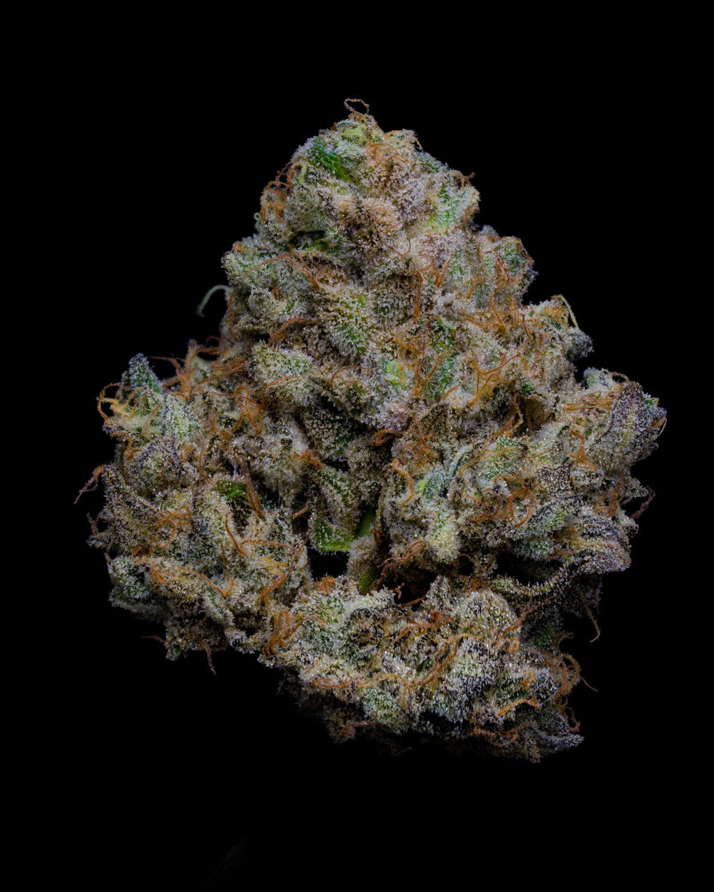 A nug of cannabis flower from the King Louis XIII strain sits against a black background.