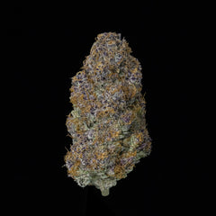 A spade-shaped nug of cannabis flower from the Kush Mints weed strain stands against a black background.