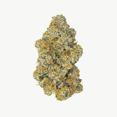 A cannabis flower nug from the Lava Cake strain sits upright against a white background.