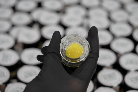 An extract artist holds up a container with high-grade live resin.