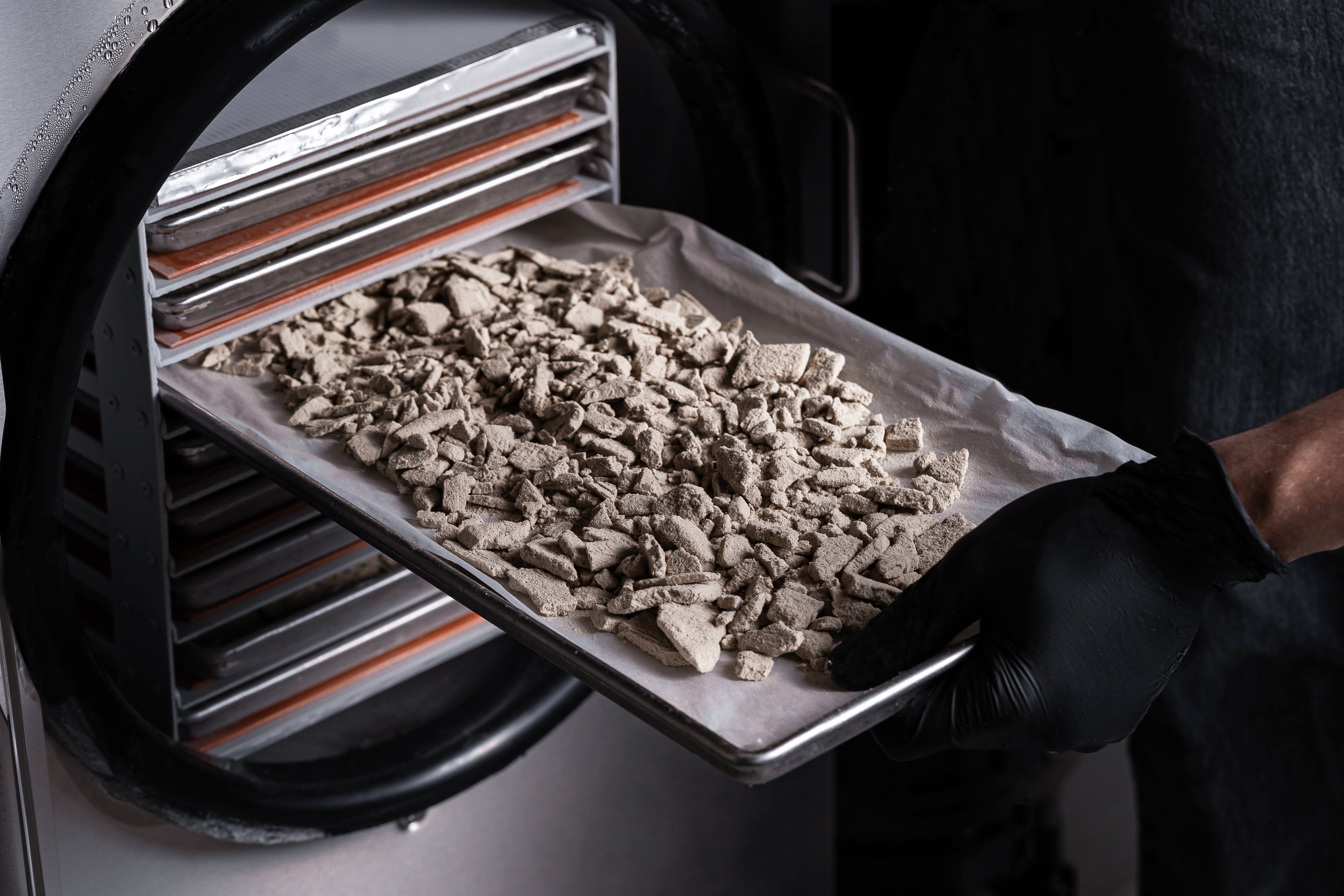 A metal tray filled with freeze-dried live rosin hash is removed from an oven.