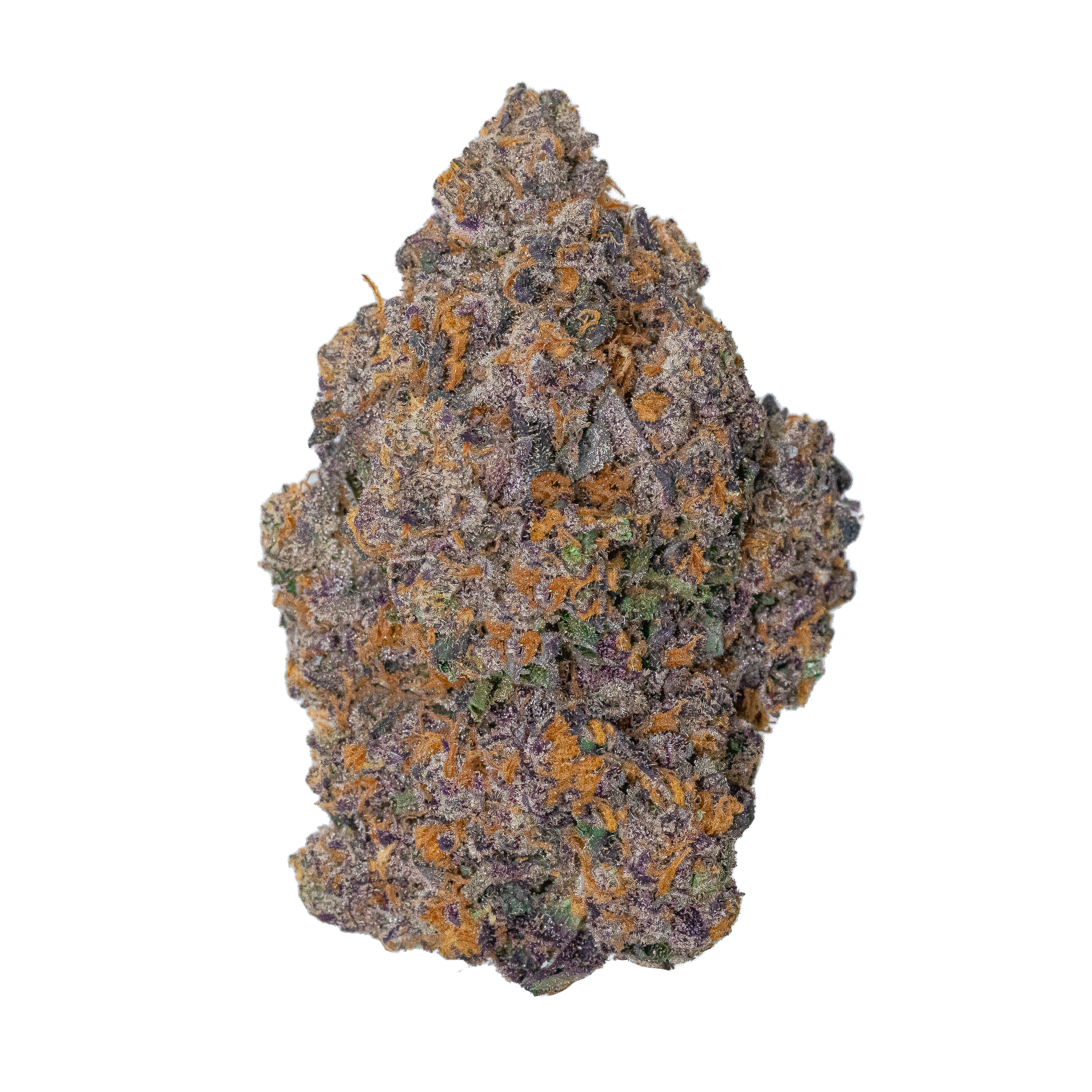 A fat cannabis flower nug from the orange cream strain sits in front of a black background.