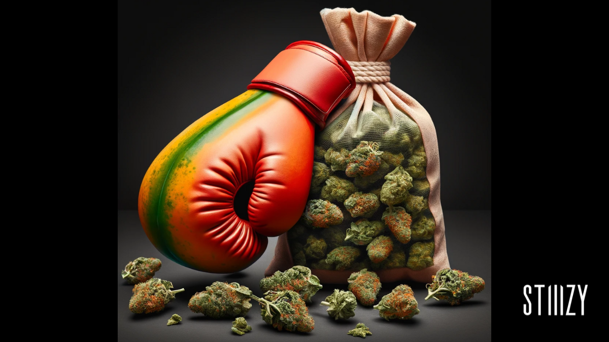 punching glove and cannabis