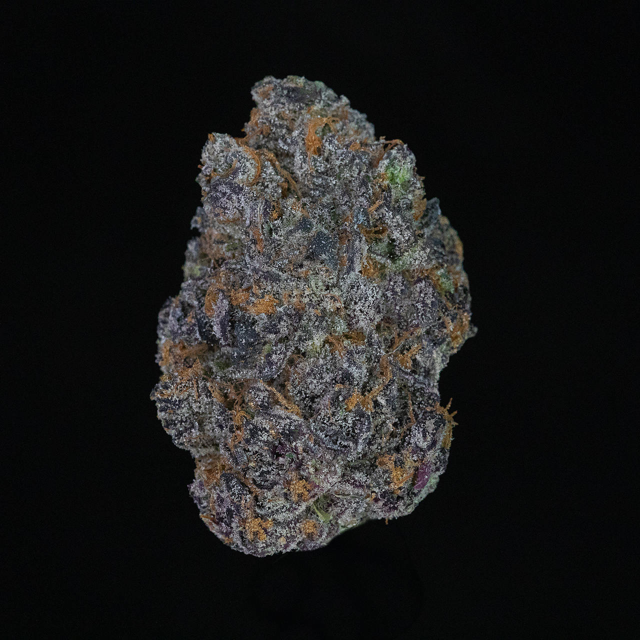 A brightly-colored nug of cannabis flower from the Rainbow Kush strain sits in front of a black background.