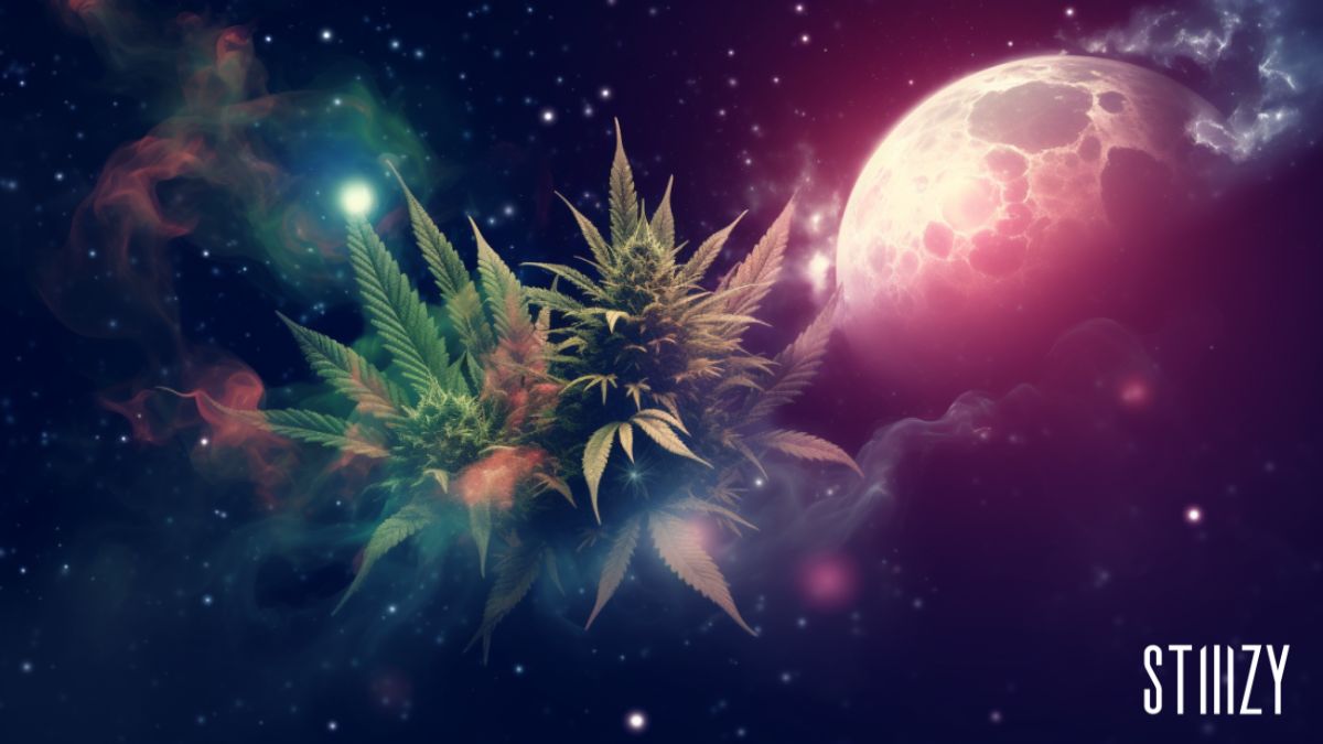 sky walker weed, space weed