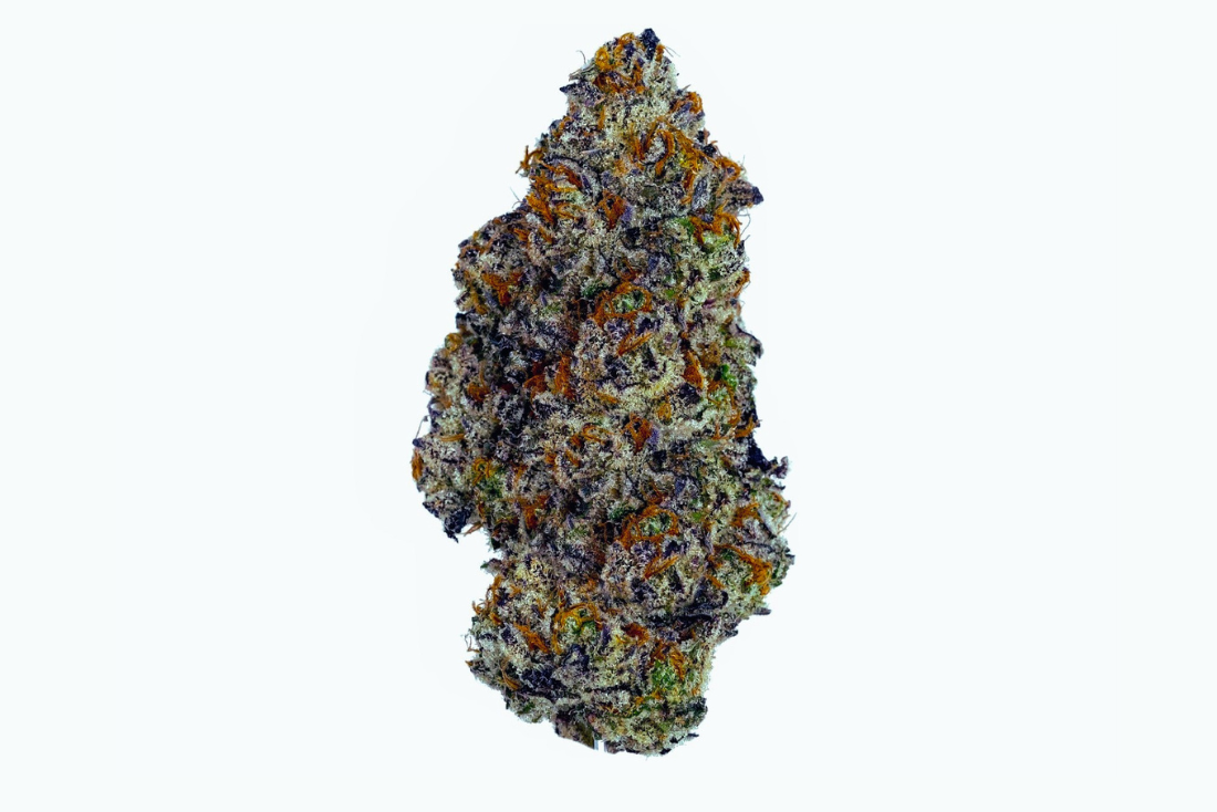 A nug of cannabis flower from the Slurricane strain stands against a grayish white background.