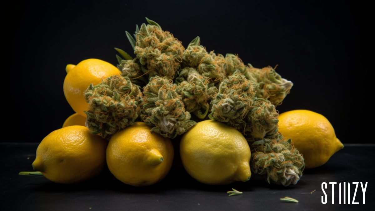 pile of lemons and weed/marijuana cannabis super lemon haze