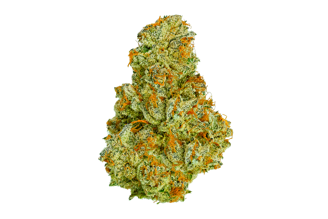 A cannabis flower nug from the Sour Diesel strain sits against a white backdrop.