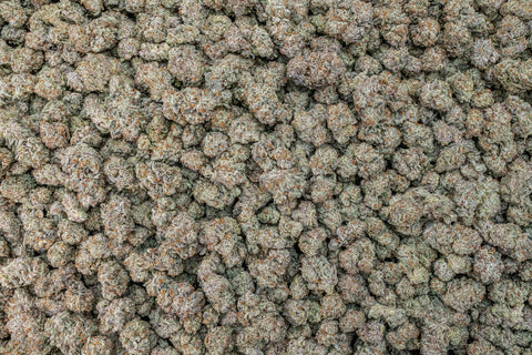 A large pool of cannabis flower nugs are from a specific strain of weed.