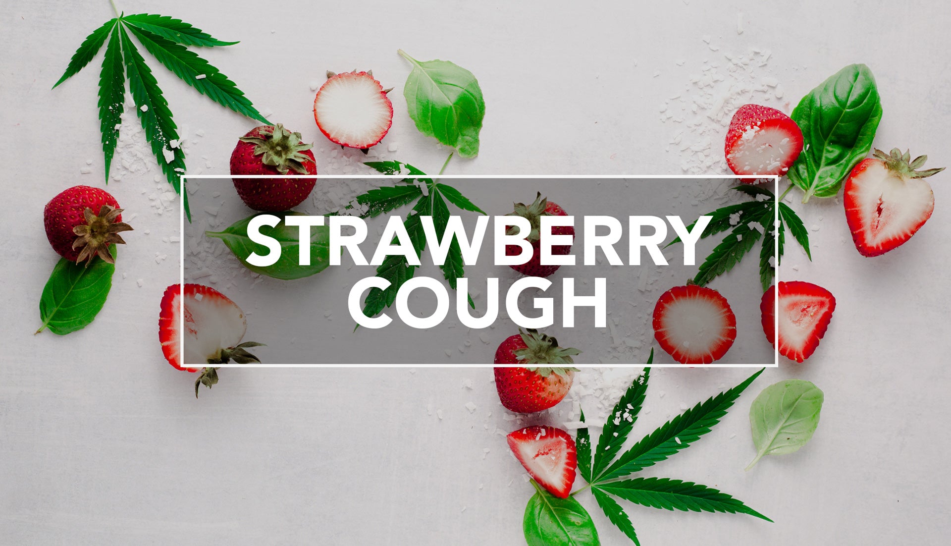 Strawberry Cough Weed Strain