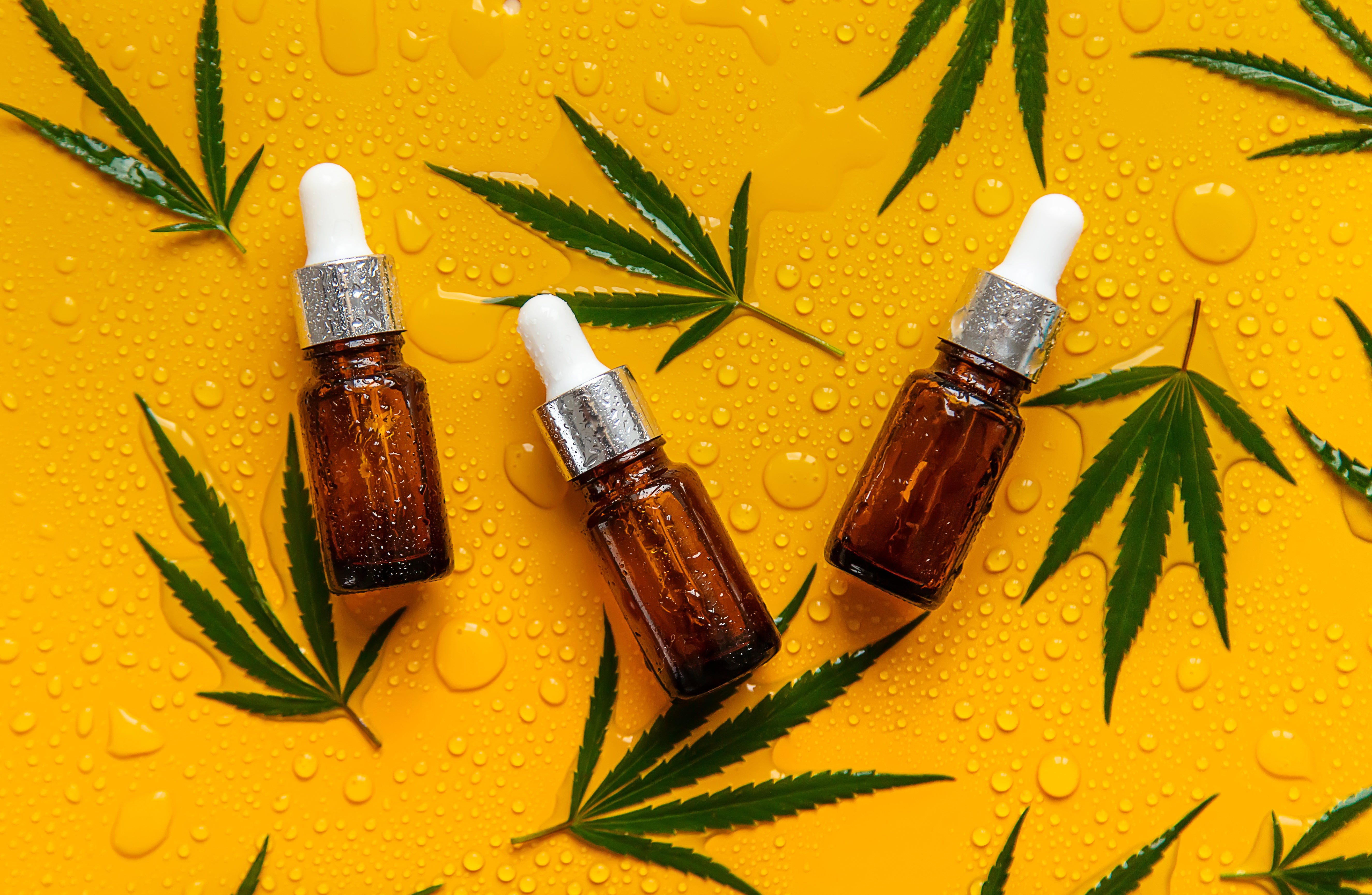 Three tinctures with cannabis-derived terpene THC oil lie next to cannabis flower leaves on a yellow surface.